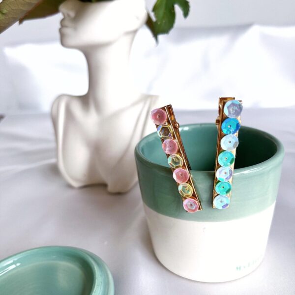 Lot de 2 barrettes pour cheveux roses et bleues